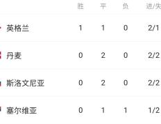 关于芬兰队一路过关斩将，成为欧洲杯预选赛小组次席的信息