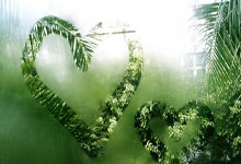 包含杜兰特连续十二场比赛得分超过比赛局势复杂，掘金不断突破！的词条