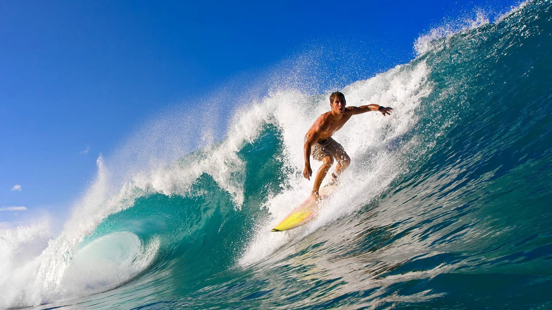 篮网带队取胜！，德约科维奇重要时刻大比分获胜全场沸腾不已